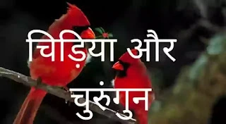 चिड़िया और चुरुंगुन (chidiya aur churungun kavita question answer class 6)