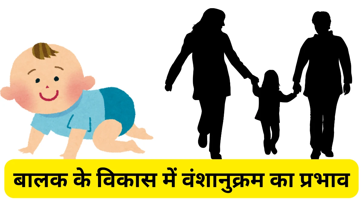 बालक के विकास में वंशानुक्रम का प्रभाव (Effect of Heredity on Child Development)