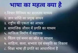 भाषा का महत्व क्या है