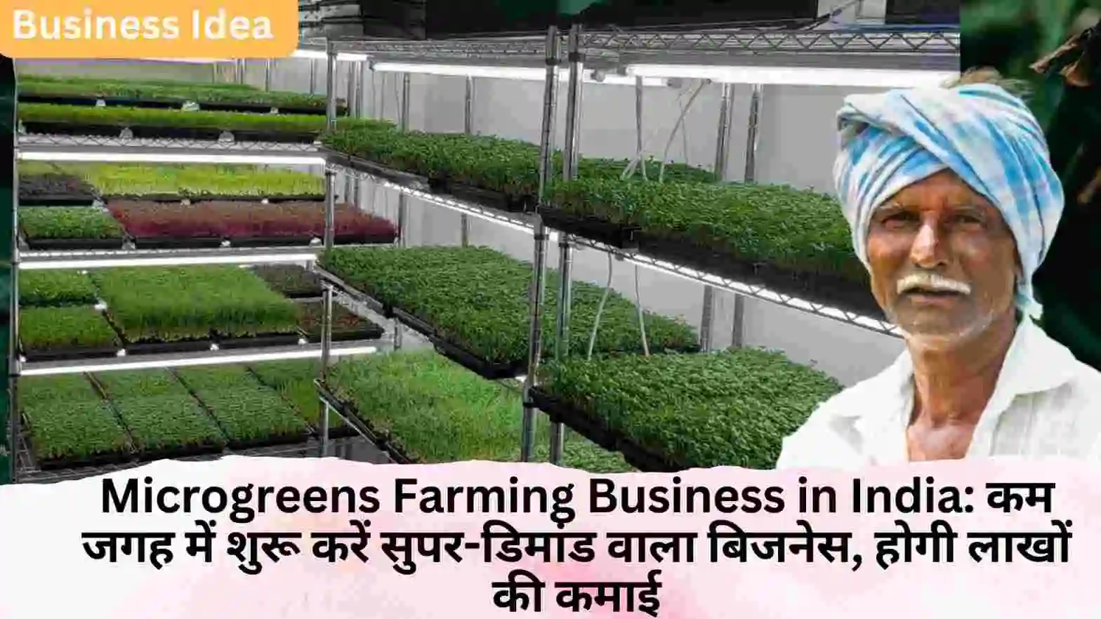 Microgreens Farming Business in India