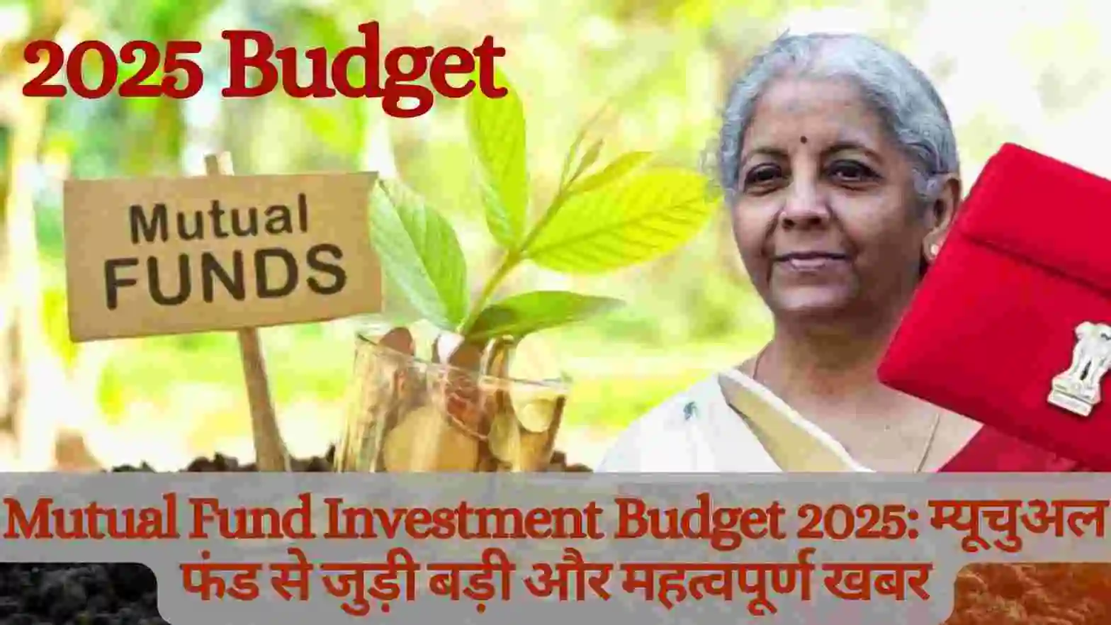 Mutual Fund Investment Budget 2025