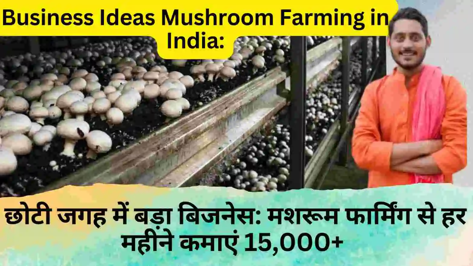 business ideas mushroom farming in india