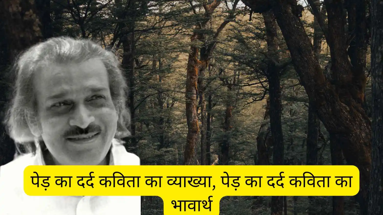 पेड़ का दर्द कविता का व्याख्या, पेड़ का दर्द कविता का भावार्थ, Ped ka dard kavita ki vyakhya
