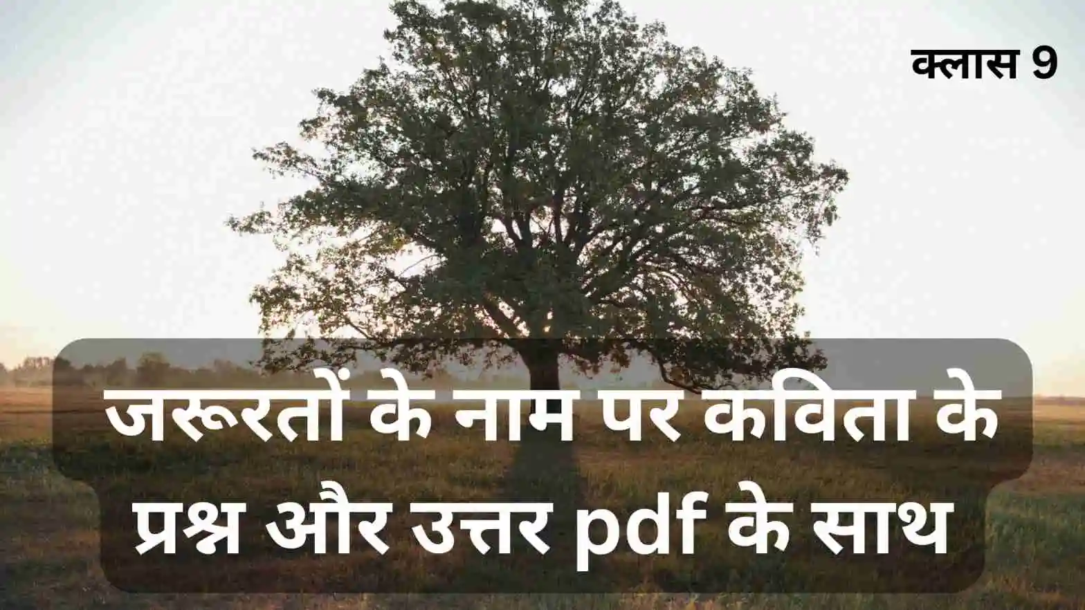 जरूरतों के नाम पर कविता के प्रश्न और उत्तर क्लास 9 pdf के साथ
