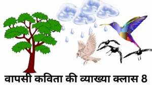 वापसी कविता की व्याख्या क्लास 8, Vapsi Kavita Ki Vyakhya Class 8, वापसी कविता का सारांश