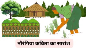 नौरंगिया कविता का सारांश अपने शब्दों में लिखें ॥ Naurangiya Kavita Ka Saransh ॥ नौरंगिया कविता का सारांश