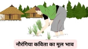 नौरंगिया कविता का मूल भाव अपने शब्दों में लिखिए॥ Naurangiya Kavita Ka Mul Bhav ॥  Naurangiya Kavita Ka Mul Bhav Likhiye ॥ नौरंगिया कविता का मूल भाव लिखिए