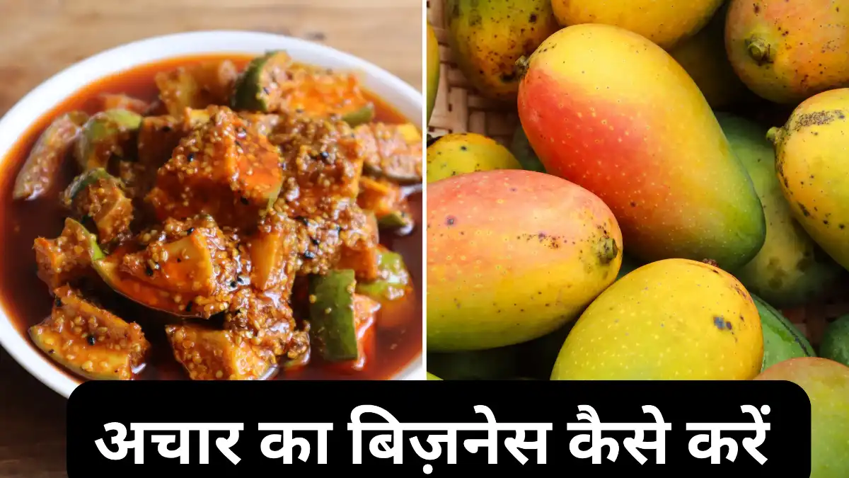 अचार का बिज़नेस कैसे करें (Pickle Business in Hindi)