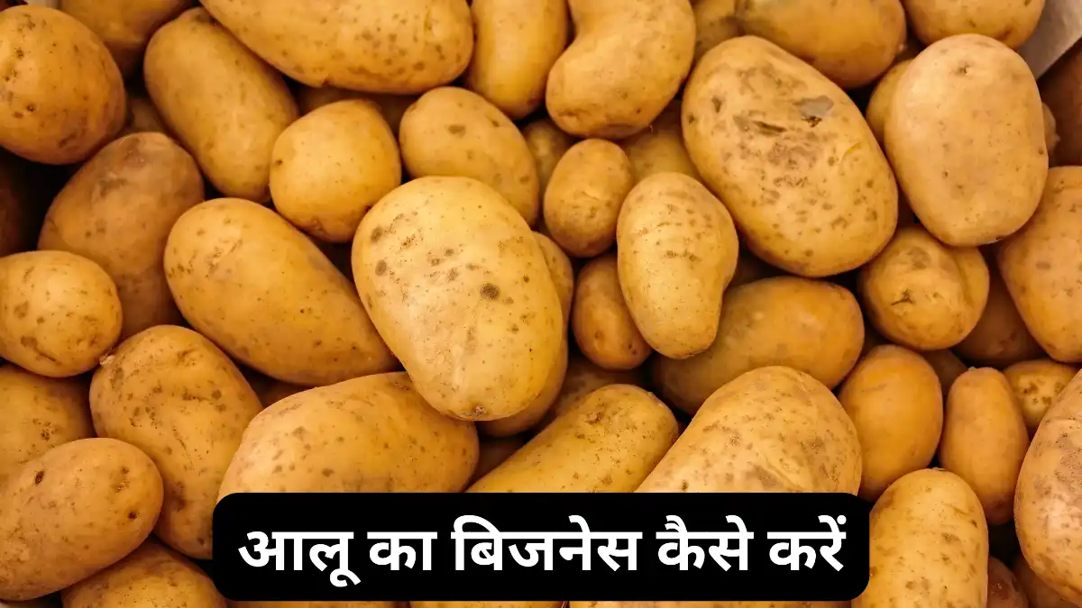 आलू का बिजनेस कैसे करें: 2025 में हाई इनकम ऑप्शन
