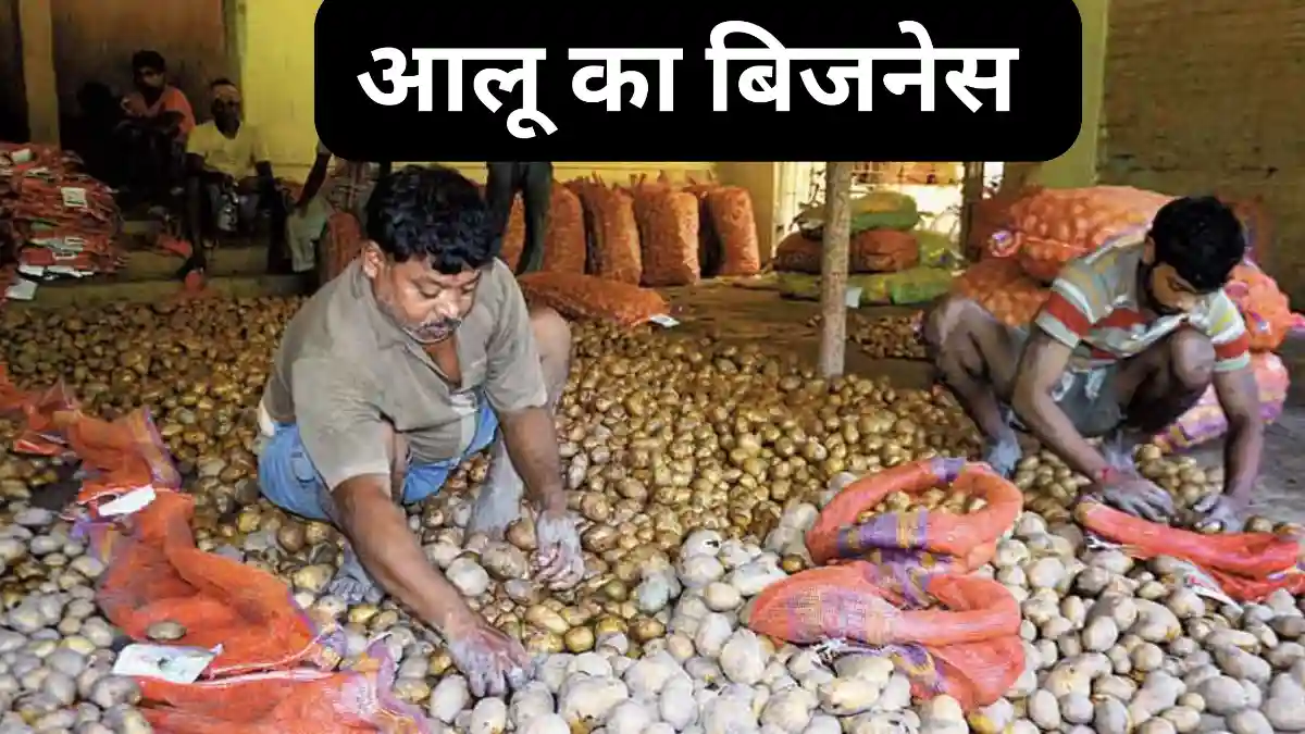 आलू का बिजनेस कैसे करें: 2025 में हाई इनकम ऑप्शन