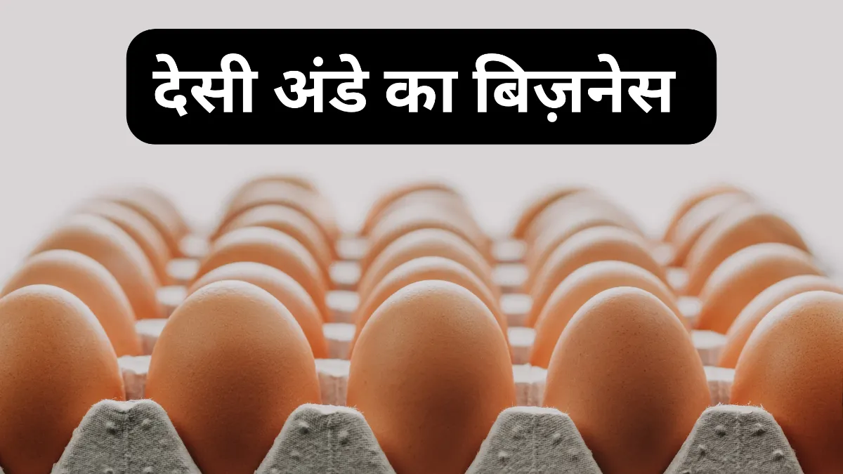 देसी अंडे का बिज़नेस – कम लागत में ज्यादा मुनाफ़ा (Desi Egg Business in India)
