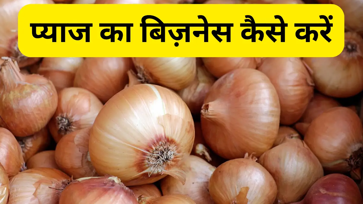 प्याज का बिज़नेस कैसे करें – पूरी जानकारी, लागत और मुनाफा