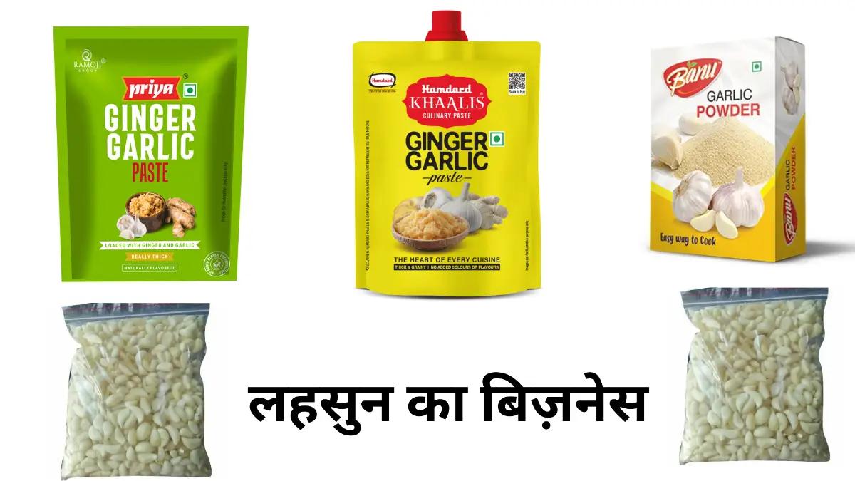 लहसुन का बिज़नेस कैसे करें – पूरी जानकारी, लागत और मुनाफा