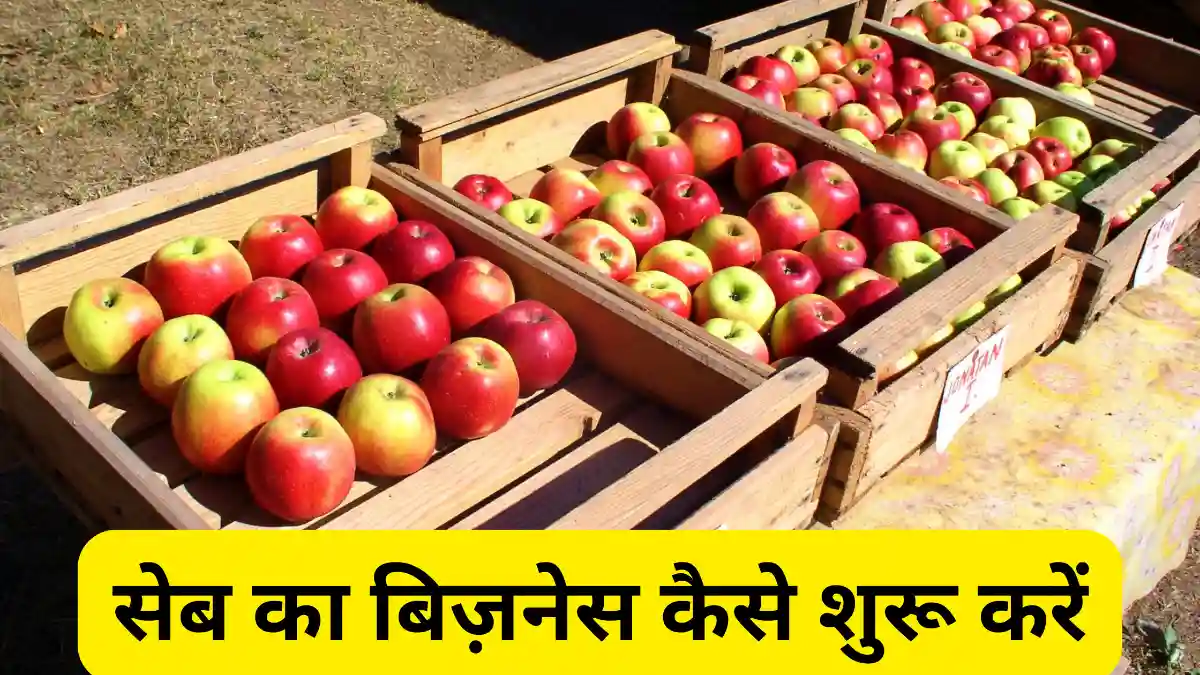 सेब का बिज़नेस कैसे शुरू करें Apple का बिज़नेस करके कीजिए लाखों की कमाई