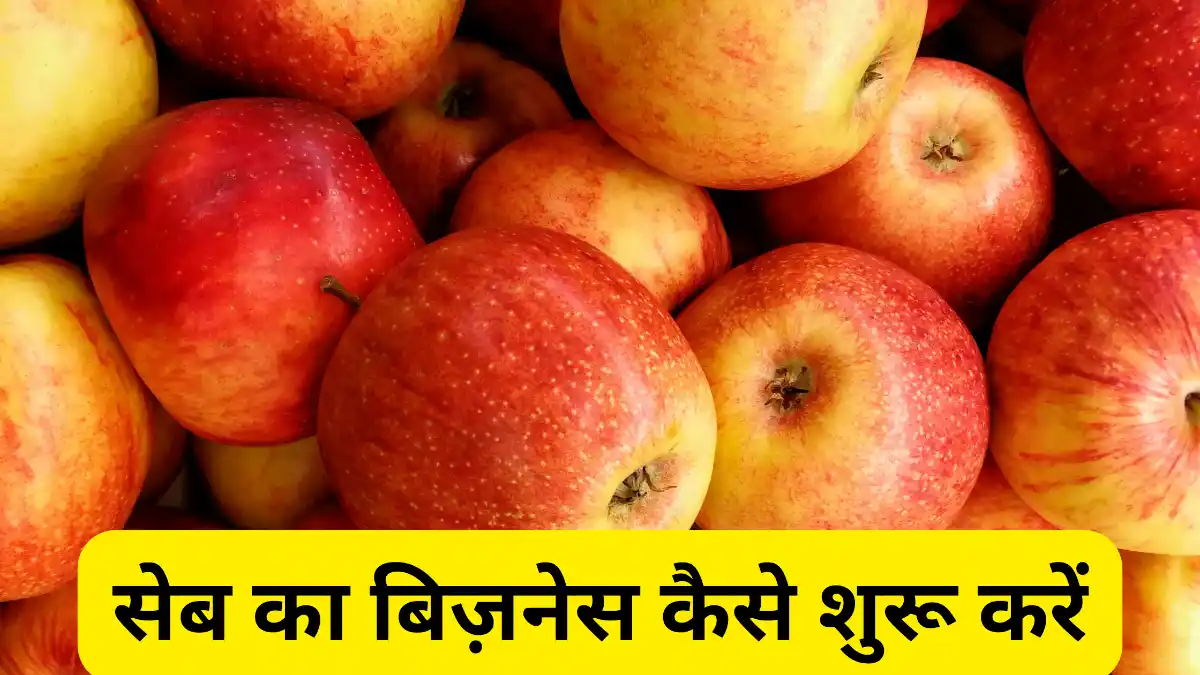 सेब का बिज़नेस कैसे शुरू करें Apple का बिज़नेस करके कीजिए लाखों की कमाई