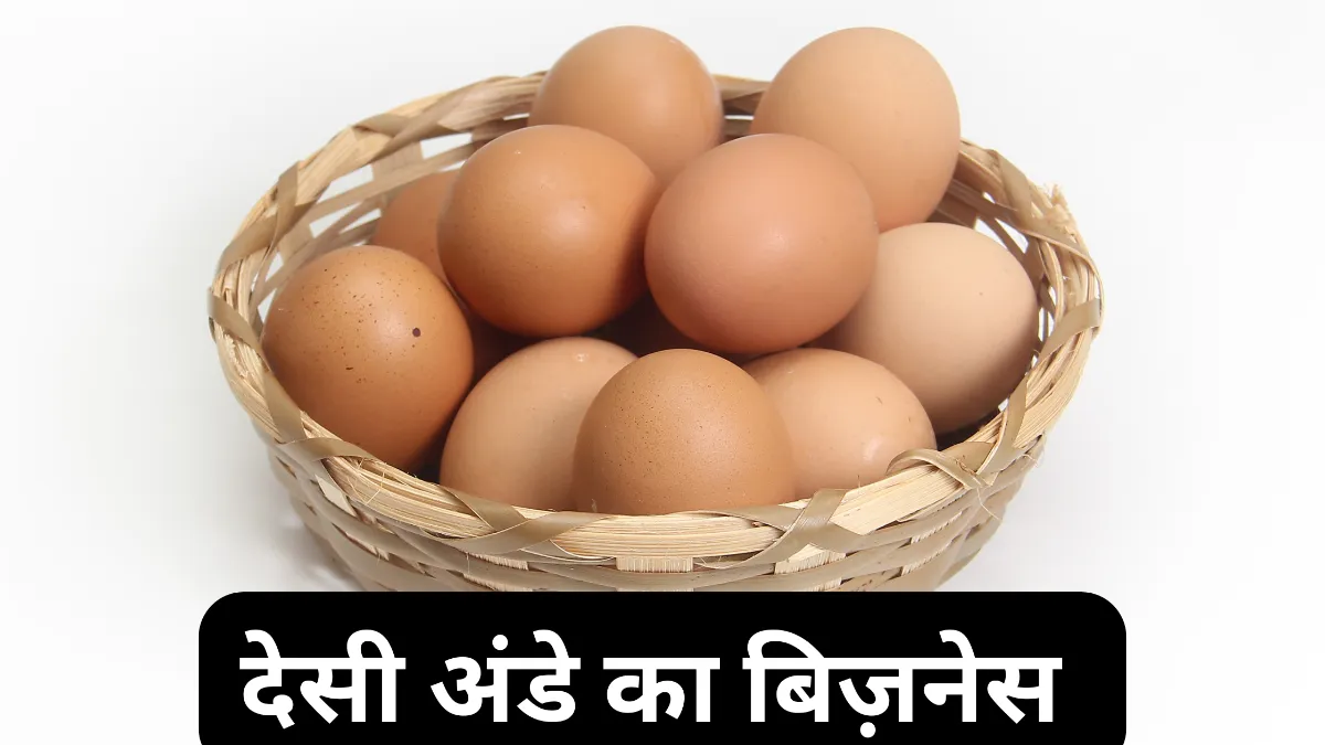 देसी अंडे का बिज़नेस – कम लागत में ज्यादा मुनाफ़ा (Desi Egg Business in India)