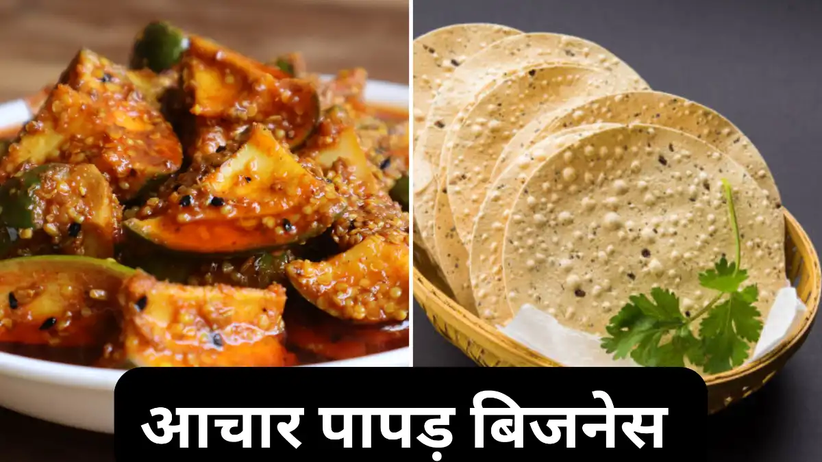 अचार पापड़ का बिजनेस: पापड़ और अचार के बिज़नेस को कैसे शुरू किया जा सकता है?