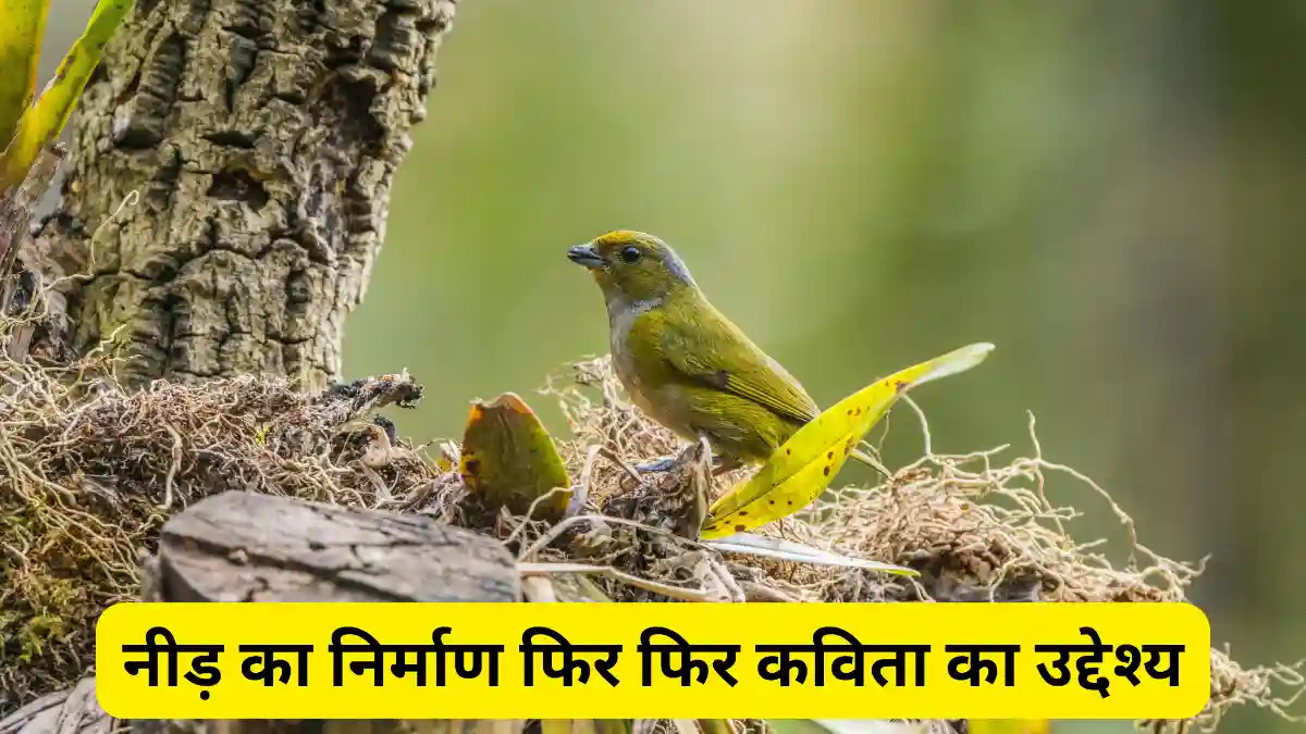 नीड़ का निर्माण फिर फिर कविता का उद्देश्य ॥ Need Ka Nirman Fir Fir Kavita Ka Mul Uddeshya Kya Hai