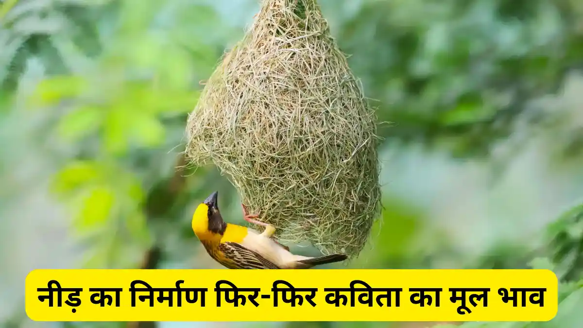 नीड़ का निर्माण फिर-फिर कविता का मूल भाव ॥ Need Ka Nirman Fir Fir Kavita Ka Mul Bhav Spasht Kijiye