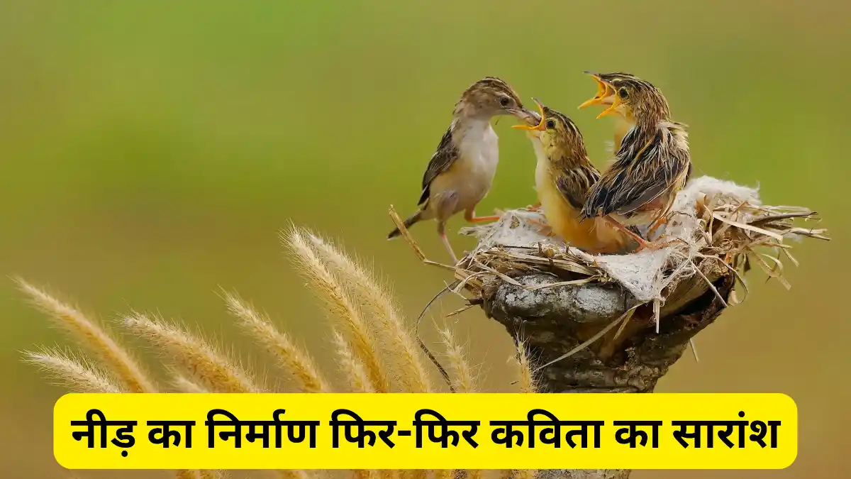 नीड़ का निर्माण फिर-फिर कविता का सारांश