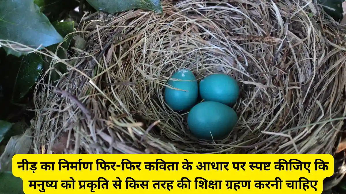 नीड़ का निर्माण फिर-फिर कविता के आधार पर स्पष्ट कीजिए कि मनुष्य को प्रकृति से किस तरह की शिक्षा ग्रहण करनी चाहिए?