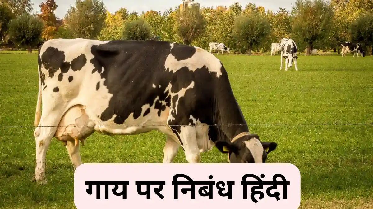 गाय पर निबंध हिंदी ॥ गाय पर निबंध 300, 400, 500 और 600 शब्दों में ॥ गाय पर निबंध class 2, 3, 4, 5, 6, 7, 8, 9,10 ॥ गाय पर निबंध 10, 20 और 30 लाइन में ॥ Gaay Par Nibandh In Hindi