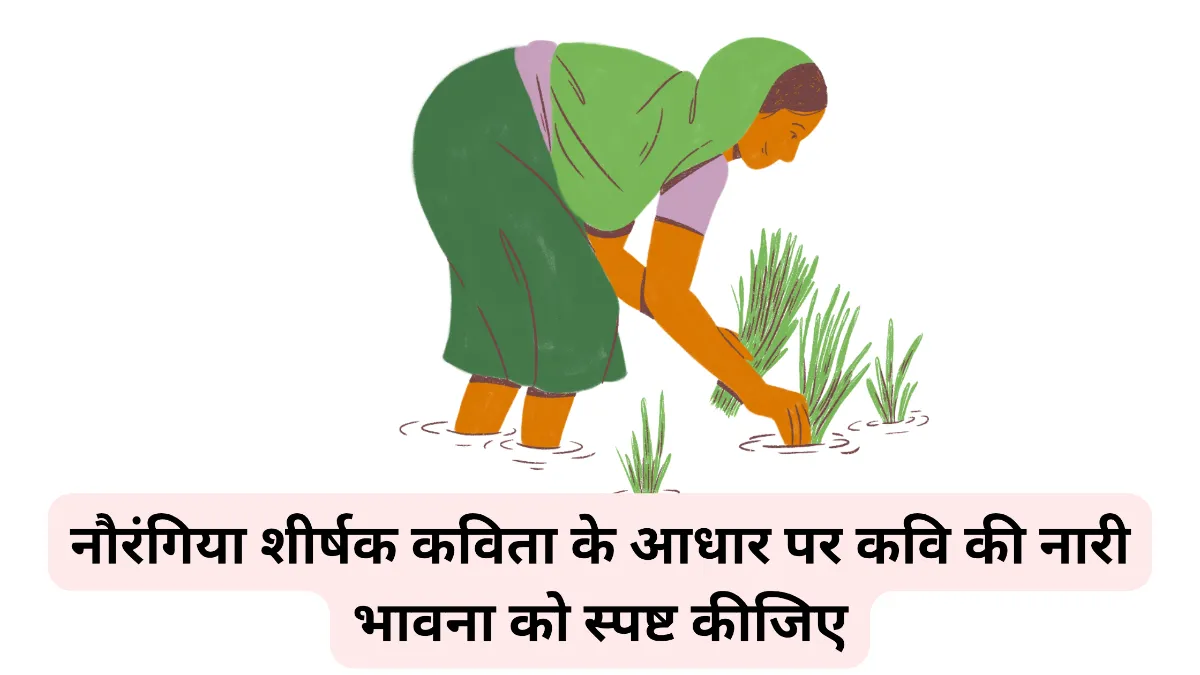 नौरंगिया शीर्षक कविता के आधार पर कवि की नारी भावना को स्पष्ट कीजिए।