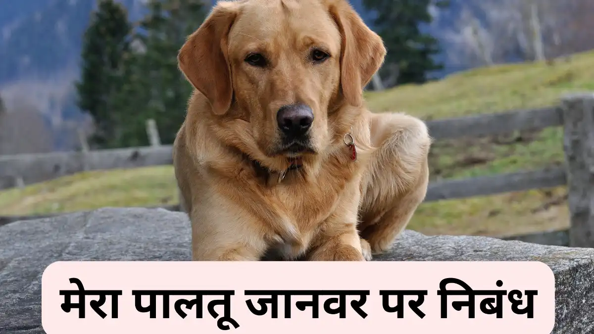 मेरा पालतू जानवर पर निबंध 300, 400, 500 और 600 शब्दों में ॥ Mera Paltu Janwar Par Nibandh॥ मेरा पालतू जानवर पर निबंध 10, 20 और 30 लाइन में 