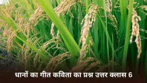 धानों का गीत कविता का प्रश्न उत्तर क्लास 6 ॥ Dhano Ka Geet Question Answer Class 6