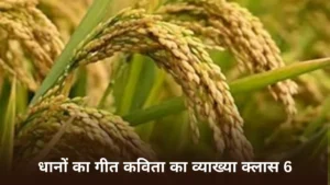 धानों का गीत कविता का व्याख्या ॥ Dhano Ka Geet Vyakhya ॥ धानों का गीत कविता का भावार्थ ॥ धानों का गीत कविता का सारांश