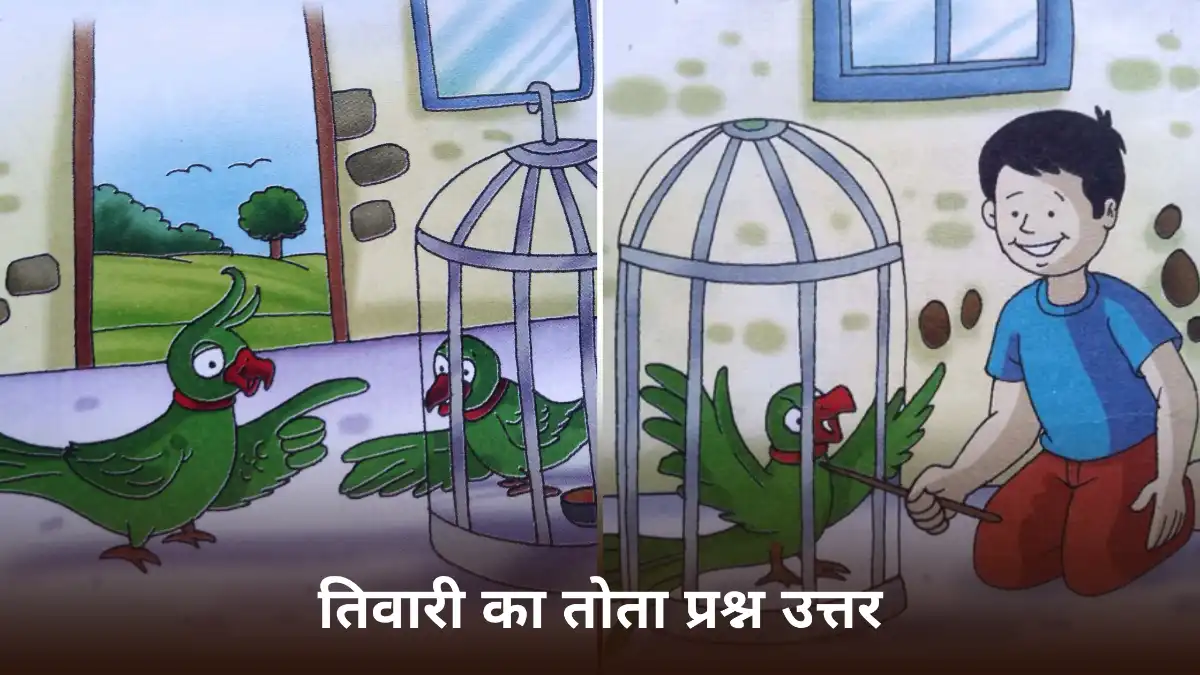 तिवारी का तोता प्रश्न उत्तर ॥ Tiwari Ka Tota Question Answer Class 6