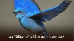 वह चिड़िया जो कविता कक्षा 6 प्रश्न उत्तर ॥ Vah Chidiya Jo Class 6 Question Answer॥ Vah Chidiya Jo Ke Question Answer