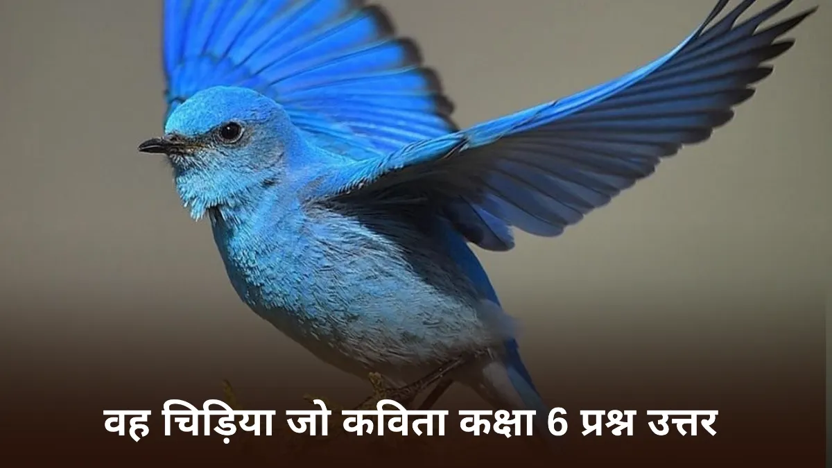 वह चिड़िया जो कविता कक्षा 6 प्रश्न उत्तर ॥ Vah Chidiya Jo Class 6 Question Answer॥ Vah Chidiya Jo Ke Question Answer
