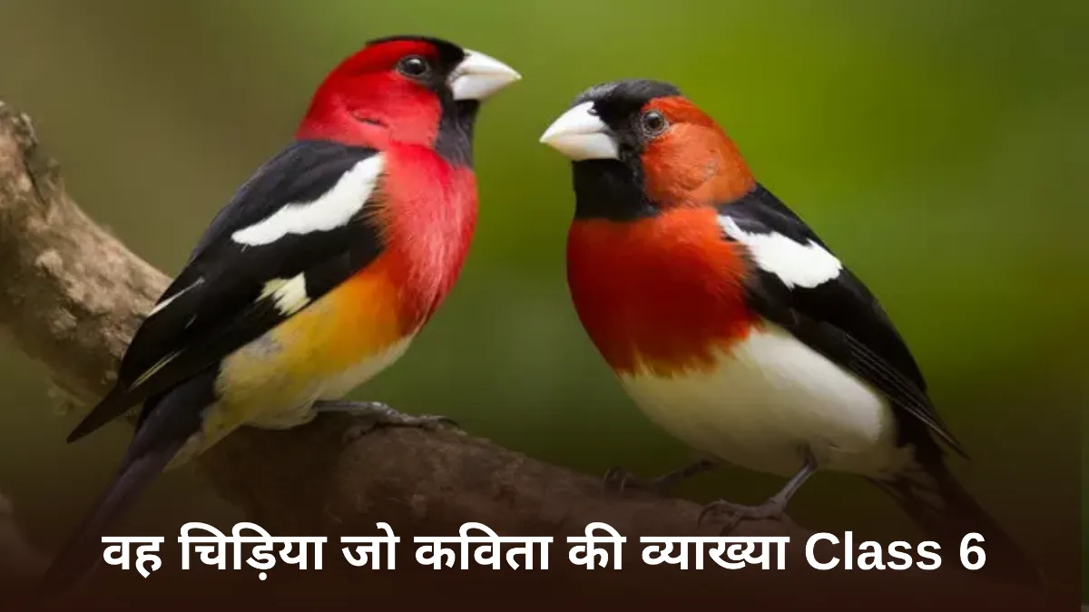 वह चिड़िया जो कविता की व्याख्या ॥ Vah Chidiya Jo Kavita Vyakhya Class 6